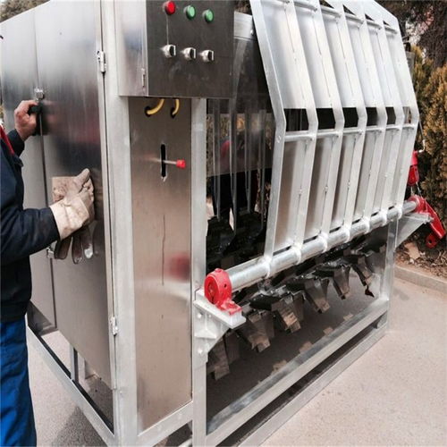 豬刨毛機(jī)專業(yè) 重慶豬刨毛機(jī) 諸城正豐機(jī)械 查看